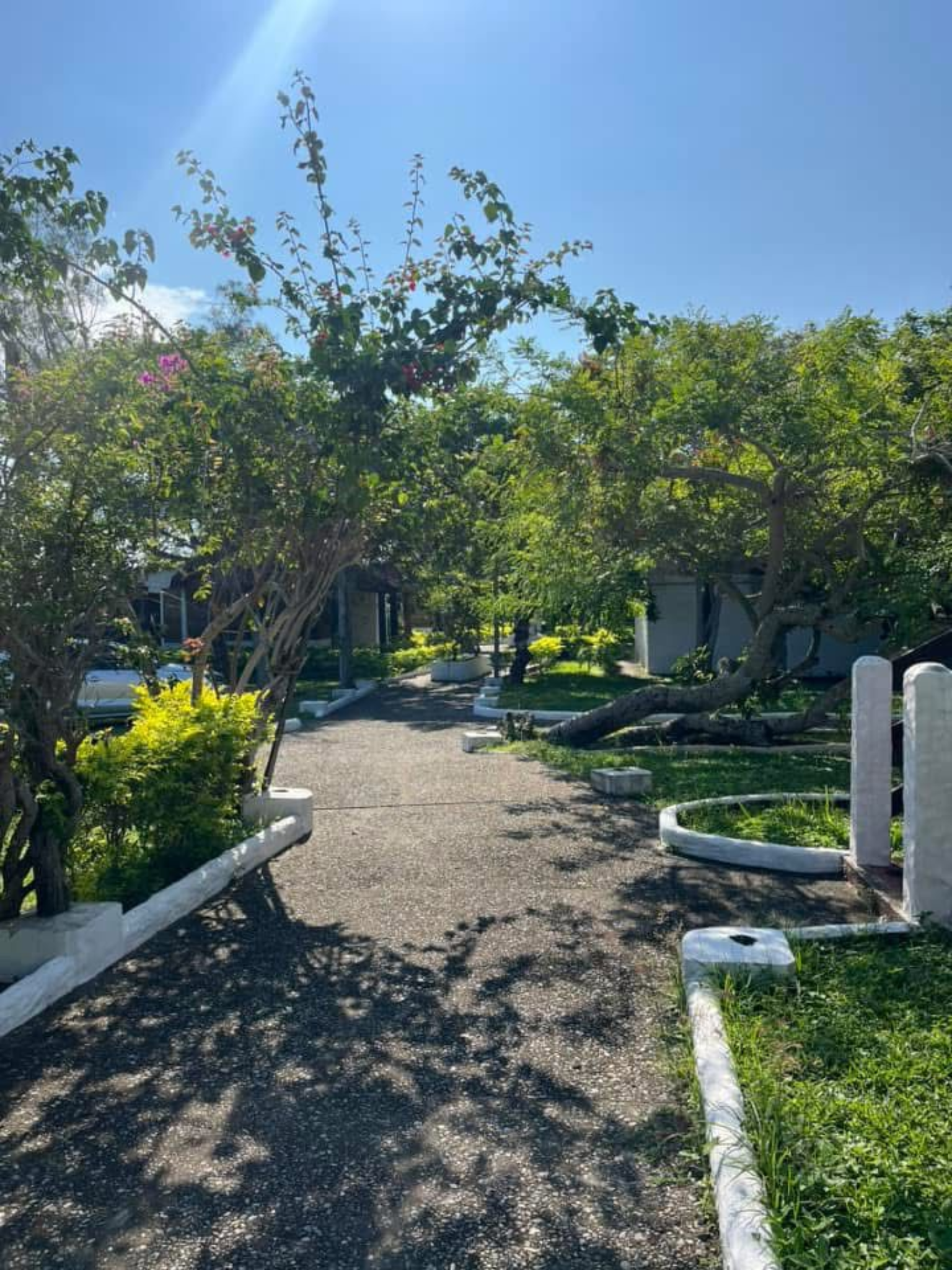 Camino entre áreas verdes